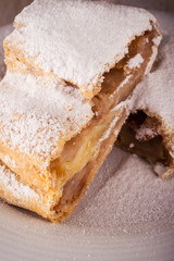 Detail of Two slices of apple strudel with powder sugar