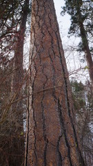 exploring washington state the great pacific northwest