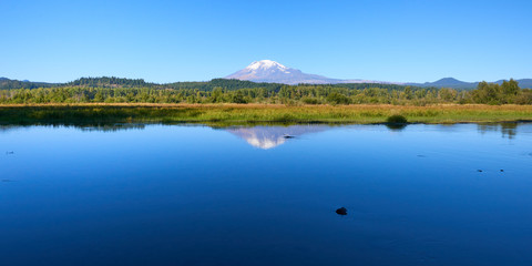 Beautiful Mount Adams panoramic view and reflection in the small Trout Lake Creek during blue sky. Oregon, USA Pacific Northwest.