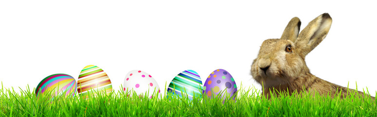 Frohe Ostern!