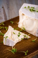 Unusual Camembert cheese with cube shape and spilled green cress