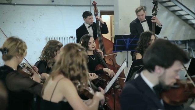 Orchestra. Musician playing violin on the symphony hall