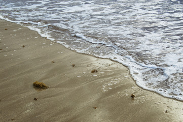 Shore of the beach