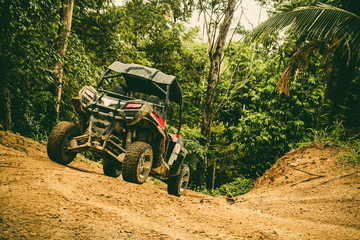 Extreme ride on ATV, buggies, jeeps. Journey through the jungle. Extreme quad biking, dune buggy, Jeep in the jungle, forest / ATV, UTV . in motion.  toned image © Irina