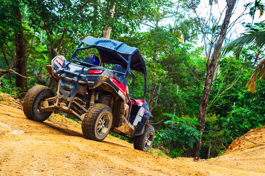 Extreme ride on ATV, buggies, jeeps. Journey through the jungle. Extreme quad biking, dune buggy, Jeep in the jungle, forest / ATV, UTV . in motion.  toned image
