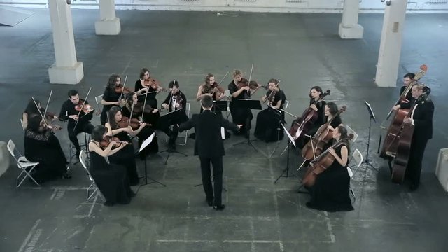 Orchestra. Musician playing violin on the symphony hall
