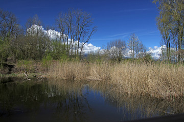 teich am neuenburgersee, la sauge, schweiz