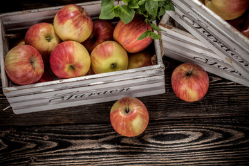 Jabłka na drewnianym tle © Olo