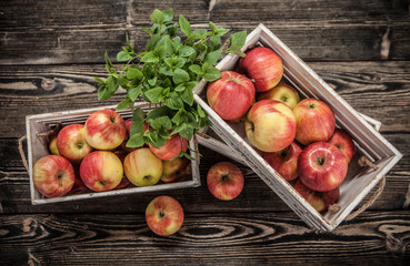 Jabłka na drewnianym tle © Olo