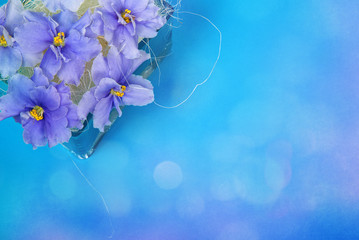 blue rainbow background for paper records, fioletowe violets in the corner © Line