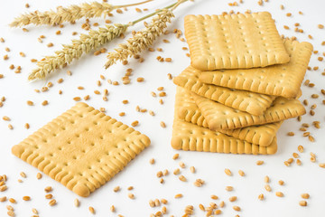  Square Cookies, spikes of wheat on  white background.