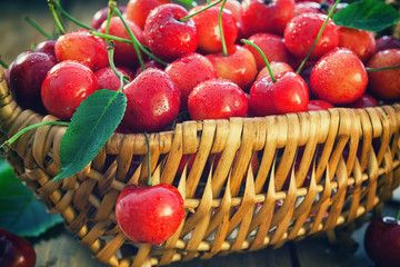 Fresh sweet cherries in a basket