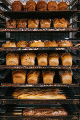 A lot of ready-made fresh bread in a bakery oven in a bakery. Bread making business. Fresh bread...