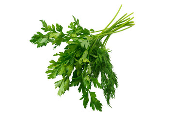 useful parsley on white isolated background