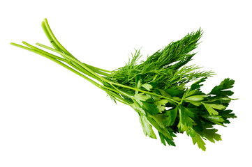 useful parsley isolated on white background