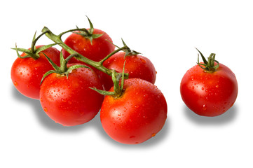 fresh tomatoes isolated on white background with shadow