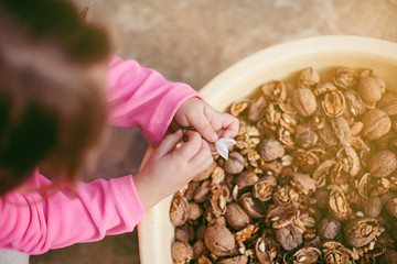 Girl with basket full of walnuts. Village life, countryside, tourism