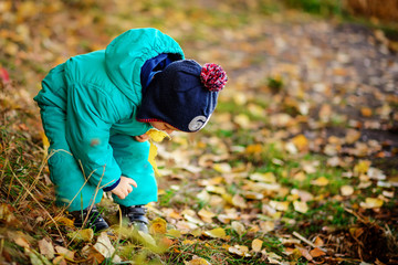 Happy cute boy with autumn leaves in the park - copyspace