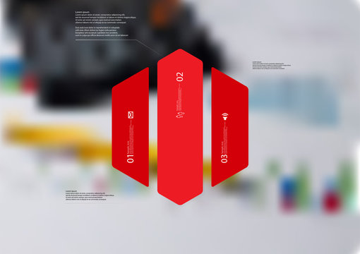 Illustration infographic template with hexagon vertically divided to three red parts
