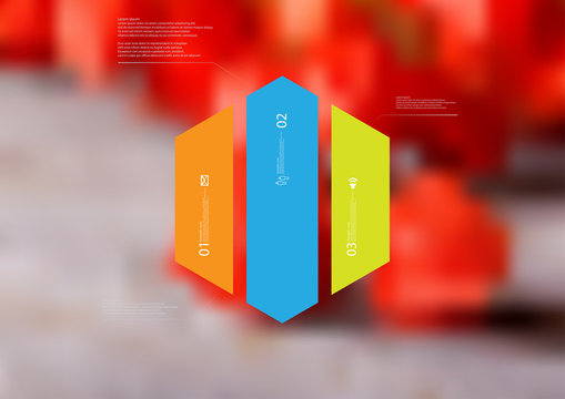 Illustration infographic template with hexagon vertically divided to three color parts