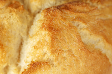 Crusty bread roll