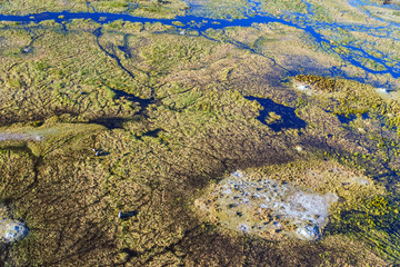 Okavango delta (Okavango Grassland) is one of the Seven Natural Wonders of Africa (view from the...