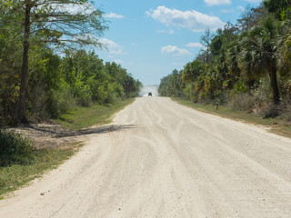 Fototapeta na wymiar Traveling through the wilderness of the Everglades National Park driving on dirt roads