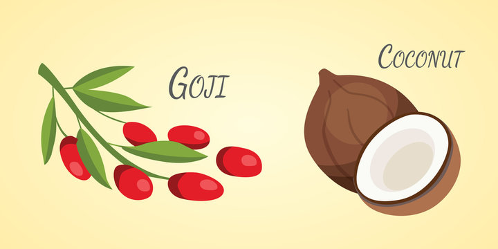 Set of Vector cartoon superfoods. Illustration for your design.