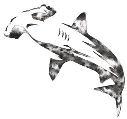 black and white monochrome painting with water and ink draw hammerhead illustration