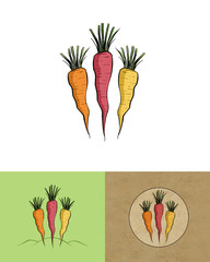 Rainbow Carrot Farmers Market Logo