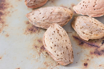 Group of nuts in a shell on a rusty table.