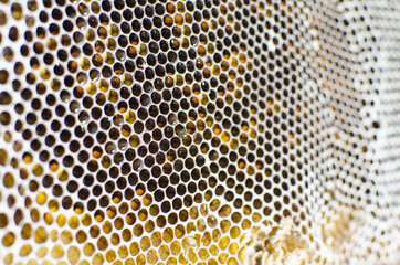 Honeycomb structure