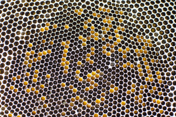 Honeycomb structure