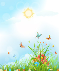 Summer vector background with flowers, green grass, butterflies and sun