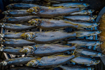 SHANGHAI, CHINA: Selection of sea food at fish market inside famous Zhouzhuang water town, ancient city district with channels and old buildings, charming popular tourist area