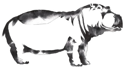 Fototapeta premium black and white monochrome painting with water and ink draw Hippo illustration
