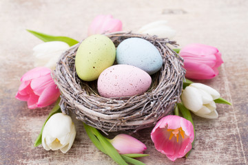 Easter eggs in the nest. Spring flowers tulips.