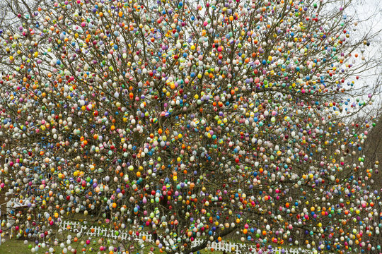 Der Osterbaum von Volker Kraft in Saalfeld