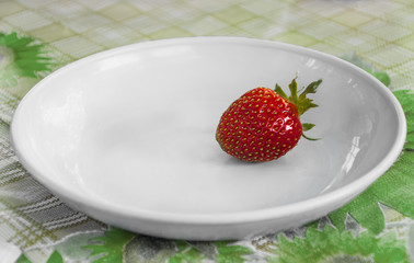 one berry of strawberry on a white ceramic plate on the table
