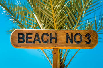 Fototapeta premium Desert and arrow Beach. Drought. In Search of the beach