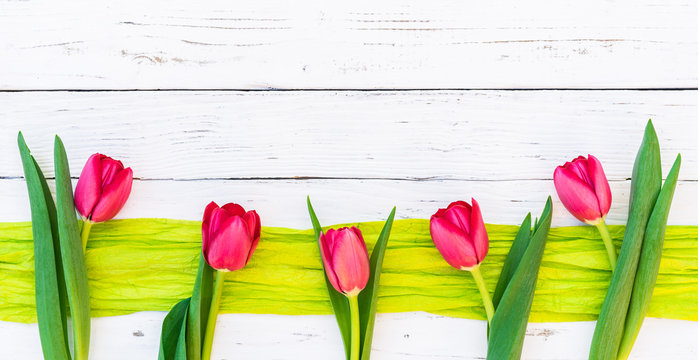 Ostern Tulpen Blumen Fr&uuml;hling auf Holz Hintergrund weiss mit Textfreiraum