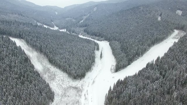 4K Aerial Drone View: Flight over winter mountains in the snowfall. Ski slopes with pine tree forest around. Majestic nature landscape. Holidays in Ski Resort Bukovel, Carpathian Mountains, Ukraine