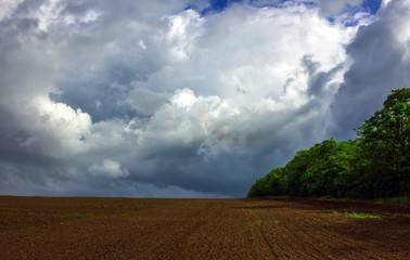 Fototapeta na wymiar field on a background of storm clouds .