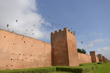 Historische Stadtmauer Rabat - Marokko