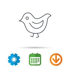 Bird icon. Chick with beak sign. Fowl with wings symbol. Calendar, cogwheel and download arrow signs. Colored flat web icons. Vector