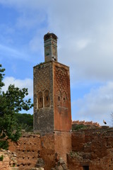 Ruine und Totenstadt Chellah in Rabat - Marokko