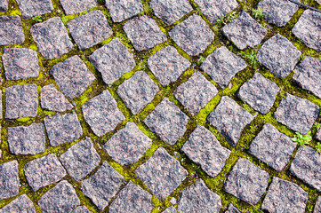 Grey paving slab with green grass between slabs