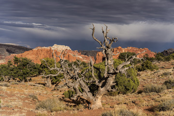 Chimney Rock Trail Dark Clouds