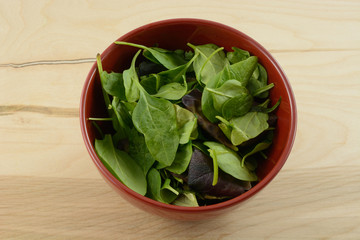 Fresh baby spinach leaves in red bowl