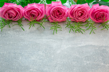 Pink roses. Romantic background. Mother's, Valentines, Women's, Wedding Day. Top view with copy space.  Place for text